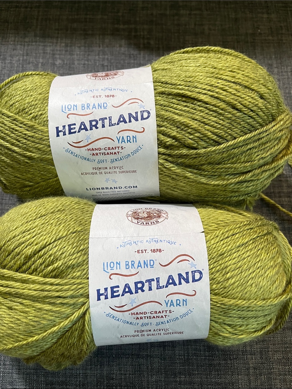 Lion Brand Heartland Yarn in Haleakala Green - lot of 2